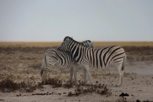 romantische-reis-naar-kenia